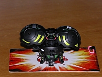 Darkus